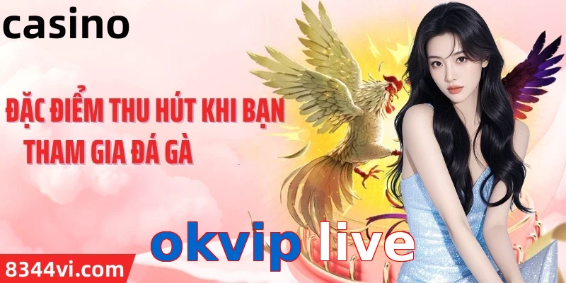 okvip live